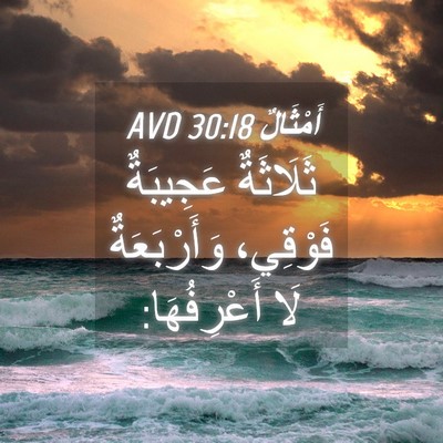 Picture 04 - أَمْثَالٌ 30:18 AVD - ثَلَاثَةٌ عَجِيبَةٌ - Bible Verse Picture