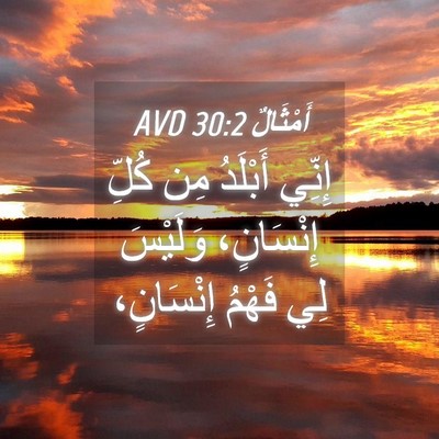 Picture 04 - أَمْثَالٌ 30:2 AVD - إِنِّي أَبْلَدُ مِن كُلِّ - Bible Verse Picture