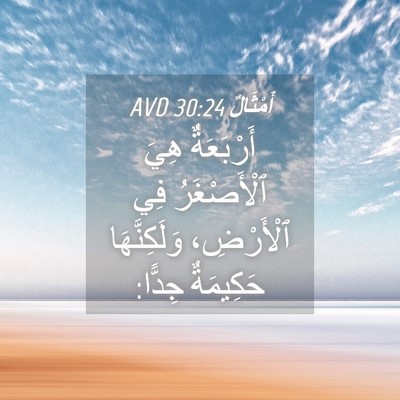 Picture 04 - أَمْثَالٌ 30:24 AVD - أَرْبَعَةٌ هِيَ - Bible Verse Picture