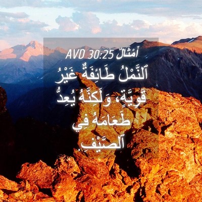 Picture 04 - أَمْثَالٌ 30:25 AVD - ٱلنَّمْلُ طَائِفَةٌ - Bible Verse Picture