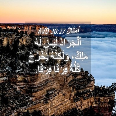 Picture 04 - أَمْثَالٌ 30:27 AVD - ٱلْجَرَادُ لَيْسَ لَهُ - Bible Verse Picture