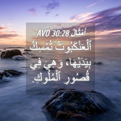 Picture 04 - أَمْثَالٌ 30:28 AVD - ٱلْعَنْكَبُوتُ تُمْسِكُ - Bible Verse Picture