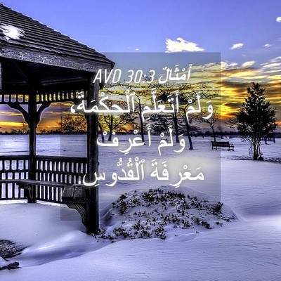 Picture 04 - أَمْثَالٌ 30:3 AVD - وَلَمْ أَتَعَلَّمِ - Bible Verse Picture