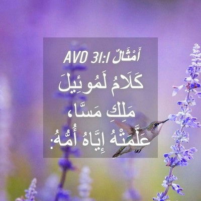 Picture 04 - أَمْثَالٌ 31:1 AVD - كَلَامُ لَمُوئِيلَ مَلِكِ - Bible Verse Picture