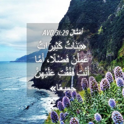 Picture 04 - أَمْثَالٌ 31:29 AVD - «بَنَاتٌ كَثِيرَاتٌ - Bible Verse Picture