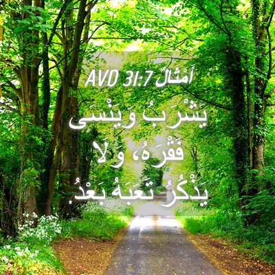 Picture 04 - أَمْثَالٌ 31:7 AVD - يَشْرَبُ وَيَنْسَى - Bible Verse Picture