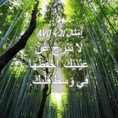Picture 04 - أَمْثَالٌ 4:21 AVD - لَا تَبْرَحْ عَنْ - Bible Verse Picture