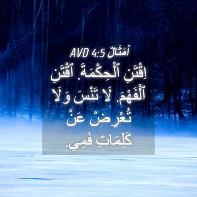 Picture 04 - أَمْثَالٌ 4:5 AVD - اِقْتَنِ ٱلْحِكْمَةَ. - Bible Verse Picture