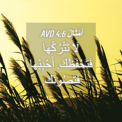 Picture 04 - أَمْثَالٌ 4:6 AVD - لَا تَتْرُكْهَا - Bible Verse Picture