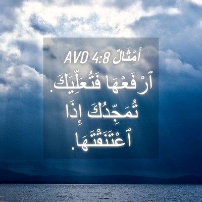 Picture 04 - أَمْثَالٌ 4:8 AVD - ٱرْفَعْهَا فَتُعَلِّيَكَ. - Bible Verse Picture