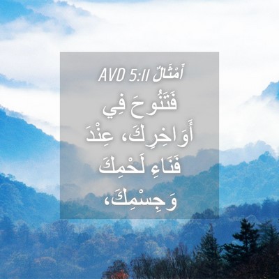 Picture 04 - أَمْثَالٌ 5:11 AVD - فَتَنُوحَ فِي - Bible Verse Picture