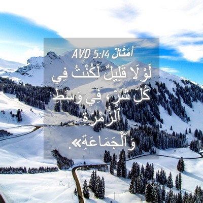 Picture 04 - أَمْثَالٌ 5:14 AVD - لَوْلَا قَلِيلٌ لَكُنْتُ - Bible Verse Picture