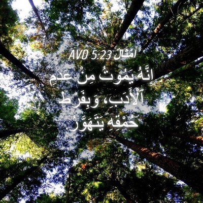 Picture 04 - أَمْثَالٌ 5:23 AVD - إِنَّهُ يَمُوتُ مِنْ - Bible Verse Picture