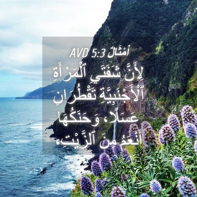 Picture 04 - أَمْثَالٌ 5:3 AVD - لِأَنَّ شَفَتَيِ - Bible Verse Picture