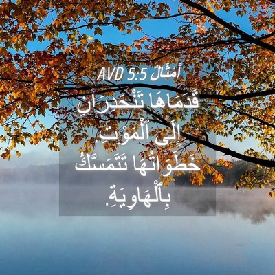 Picture 04 - أَمْثَالٌ 5:5 AVD - قَدَمَاهَا تَنْحَدِرَانِ - Bible Verse Picture