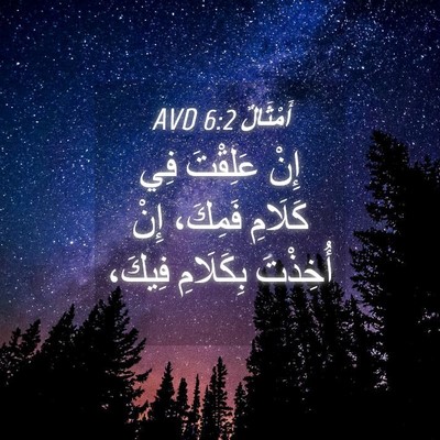 Picture 04 - أَمْثَالٌ 6:2 AVD - إِنْ عَلِقْتَ فِي كَلَامِ - Bible Verse Picture