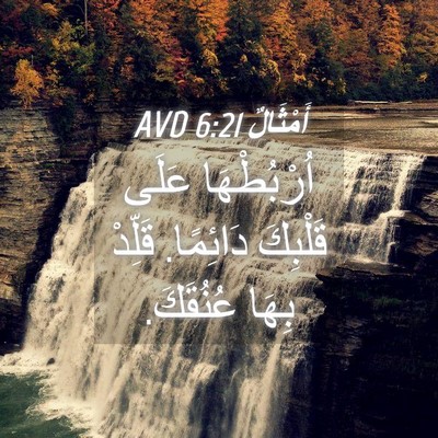 Picture 04 - أَمْثَالٌ 6:21 AVD - اُرْبُطْهَا عَلَى - Bible Verse Picture