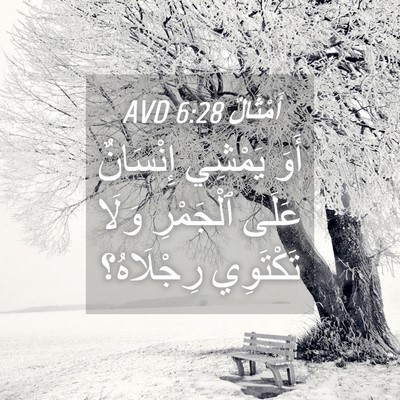 Picture 04 - أَمْثَالٌ 6:28 AVD - أَوَ يَمْشِي إِنْسَانٌ - Bible Verse Picture