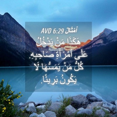 Picture 04 - أَمْثَالٌ 6:29 AVD - هَكَذَا مَنْ يَدْخُلُ - Bible Verse Picture
