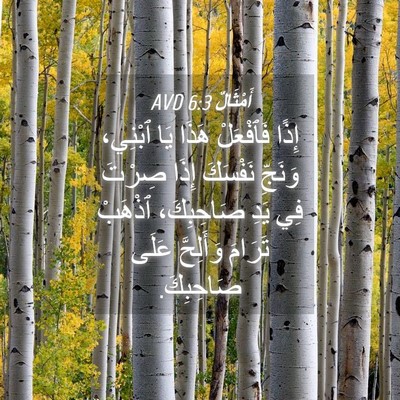 Picture 04 - أَمْثَالٌ 6:3 AVD - إِذًا فَٱفْعَلْ هَذَا يَا - Bible Verse Picture