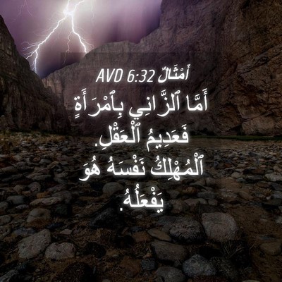 Picture 04 - أَمْثَالٌ 6:32 AVD - أَمَّا ٱلزَّانِي - Bible Verse Picture
