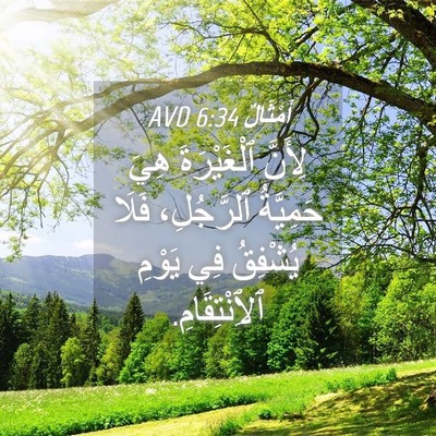 Picture 04 - أَمْثَالٌ 6:34 AVD - لِأَنَّ ٱلْغَيْرَةَ هِيَ - Bible Verse Picture