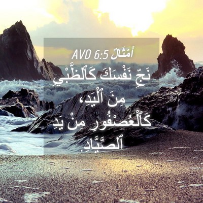 Picture 04 - أَمْثَالٌ 6:5 AVD - نَجِّ نَفْسَكَ - Bible Verse Picture