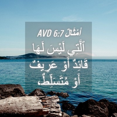 Picture 04 - أَمْثَالٌ 6:7 AVD - ٱلَّتِي لَيْسَ لَهَا - Bible Verse Picture