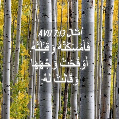 Picture 04 - أَمْثَالٌ 7:13 AVD - فَأَمْسَكَتْهُ - Bible Verse Picture