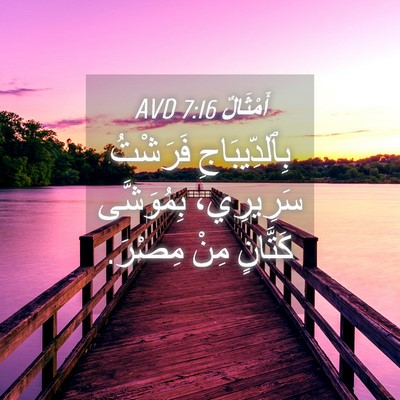 Picture 04 - أَمْثَالٌ 7:16 AVD - بِٱلدِّيبَاجِ فَرَشْتُ - Bible Verse Picture