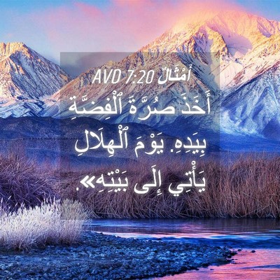 Picture 04 - أَمْثَالٌ 7:20 AVD - أَخَذَ صُرَّةَ ٱلْفِضَّةِ - Bible Verse Picture