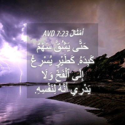 Picture 04 - أَمْثَالٌ 7:23 AVD - حَتَّى يَشُقَّ سَهْمٌ - Bible Verse Picture