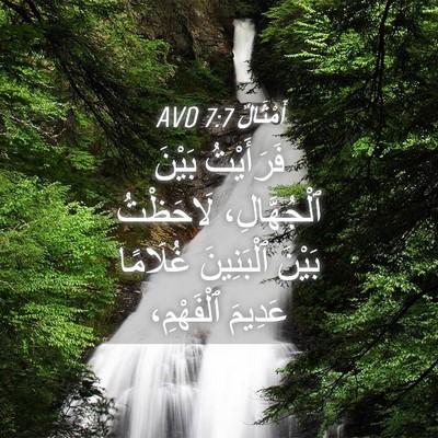 Picture 04 - أَمْثَالٌ 7:7 AVD - فَرَأَيْتُ بَيْنَ - Bible Verse Picture