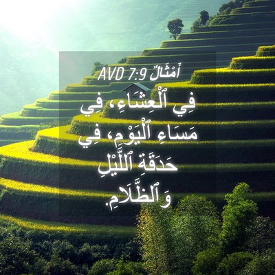 Picture 04 - أَمْثَالٌ 7:9 AVD - فِي ٱلْعِشَاءِ، فِي - Bible Verse Picture