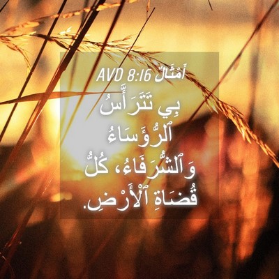 Picture 04 - أَمْثَالٌ 8:16 AVD - بِي تَتَرَأَّسُ - Bible Verse Picture