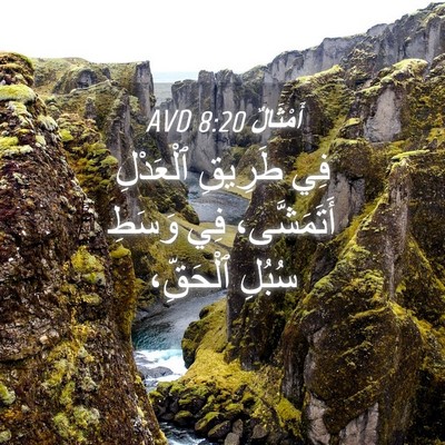 Picture 04 - أَمْثَالٌ 8:20 AVD - فِي طَرِيقِ ٱلْعَدْلِ - Bible Verse Picture