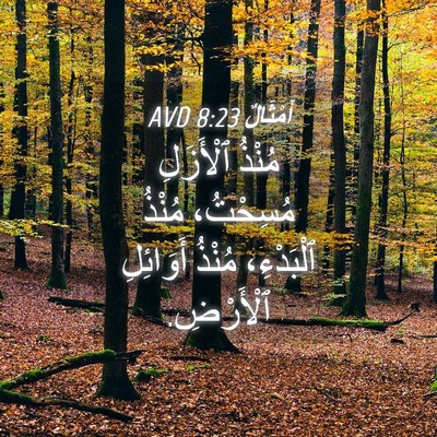 Picture 04 - أَمْثَالٌ 8:23 AVD - مُنْذُ ٱلْأَزَلِ - Bible Verse Picture