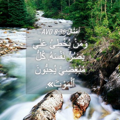 Picture 04 - أَمْثَالٌ 8:36 AVD - وَمَنْ يُخْطِئُ عَنِّي - Bible Verse Picture