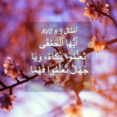 Picture 04 - أَمْثَالٌ 8:5 AVD - أَيُّهَا ٱلْحَمْقَى - Bible Verse Picture