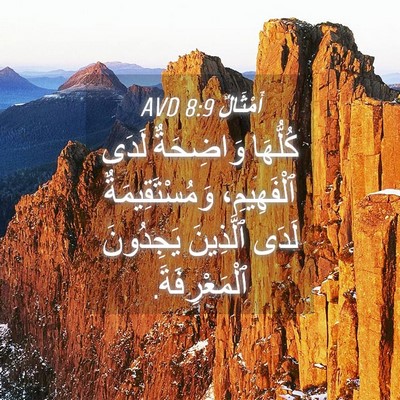 Picture 04 - أَمْثَالٌ 8:9 AVD - كُلُّهَا وَاضِحَةٌ لَدَى - Bible Verse Picture
