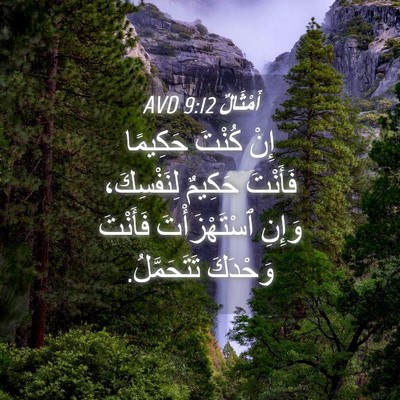 Picture 04 - أَمْثَالٌ 9:12 AVD - إِنْ كُنْتَ حَكِيمًا - Bible Verse Picture
