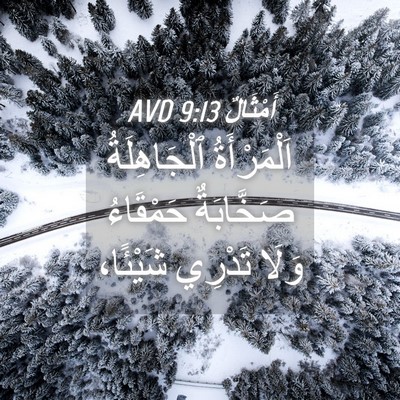Picture 04 - أَمْثَالٌ 9:13 AVD - اَلْمَرْأَةُ ٱلْجَاهِلَةُ - Bible Verse Picture