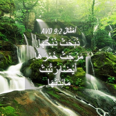 Picture 04 - أَمْثَالٌ 9:2 AVD - ذَبَحَتْ ذَبْحَهَا. - Bible Verse Picture
