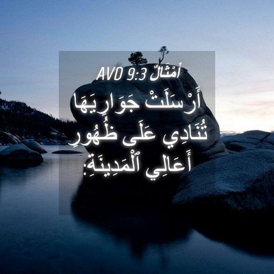 Picture 04 - أَمْثَالٌ 9:3 AVD - أَرْسَلَتْ جَوَارِيَهَا - Bible Verse Picture