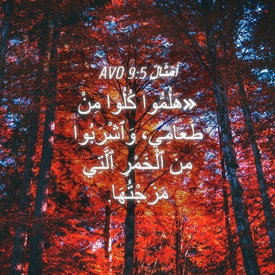 Picture 04 - أَمْثَالٌ 9:5 AVD - «هَلُمُّوا كُلُوا مِنْ - Bible Verse Picture