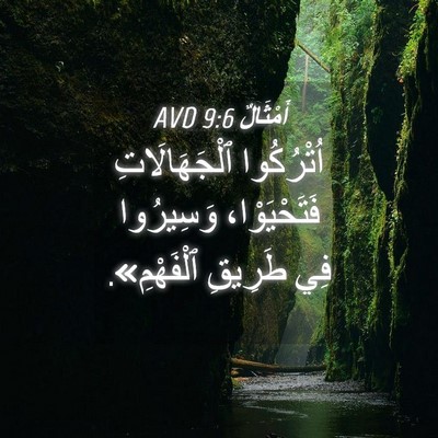 Picture 04 - أَمْثَالٌ 9:6 AVD - اُتْرُكُوا ٱلْجَهَالَاتِ - Bible Verse Picture