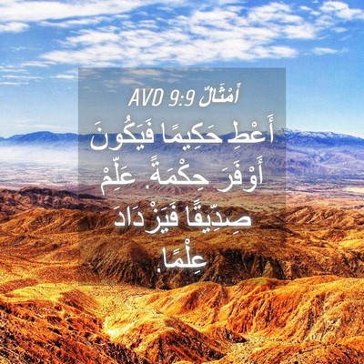 Picture 04 - أَمْثَالٌ 9:9 AVD - أَعْطِ حَكِيمًا فَيَكُونَ - Bible Verse Picture