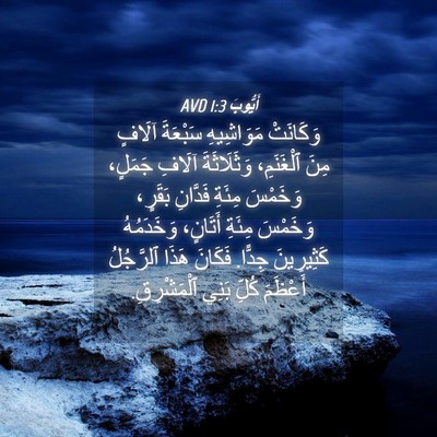 Picture 04 - أَيُّوبَ 1:3 AVD - وَكَانَتْ مَوَاشِيهِ - Bible Verse Picture
