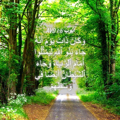Picture 04 - أَيُّوبَ 1:6 AVD - وَكَانَ ذَاتَ يَوْمٍ - Bible Verse Picture