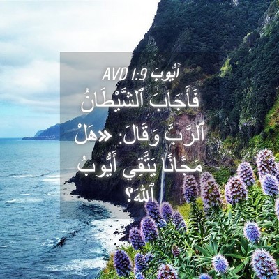 Picture 04 - أَيُّوبَ 1:9 AVD - فَأَجَابَ ٱلشَّيْطَانُ - Bible Verse Picture